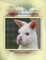 Hippity Hoppity The White Kangaroo Helps His Magpie Friend