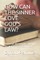 How Can the Sinner Love God's Law?