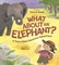 What about an Elephant?