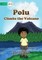 Polu Climbs the Volcano