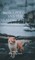 Mowa Popins and the Healing Water Lake