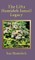 The Lifta Hamideh Ismail Legacy