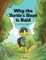 Why the Turtle's Head is Bald