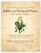 Identifying & Harvesting Edible and Medicinal Plants (And Not So Wild Places)