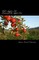 Wild Apples