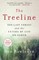 The Treeline