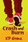Crash and Burn