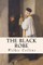 The Black Robe