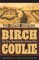 Birch Coulie