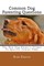 Common Dog Parenting Questions