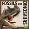 Fossils and Dinosaurs