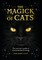 The Magic of Cats