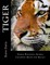Tiger Adult Coloring Book