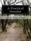 A Practical Novelist