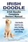 Irish Doodle. Irish Doodle Complete Owners Manual. Irish Doodle book for care, costs, feeding, grooming, health and training.
