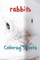 Rabbit Coloring Sheets
