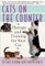 Cats on the Counter