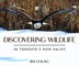 Discovering Wildlife in Toronto's Don Valley