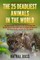 The 25 Deadliest Animals in the World
