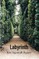 Labyrinth