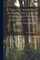 A Treatise on Rights of Water Including Public and Private Rights to the Sea and Sea-shore