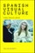 Spanish Visual Culture