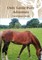 Only Lettie Pony Adventure