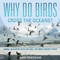 Why Do Birds Cross the Oceans? Animal Migration Facts for Kids Children's Animal Books