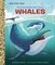 My Little Golden Book about Whales