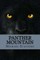 Panther Mountain