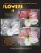 New Creations Coloring Book Series