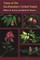 Trees of Southeastern United States