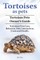 Tortoises as Pets. Tortoises Pets Owners Guide. Tortoises Pets Care, Behavior, Diet, Interaction, Costs and Health.