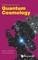 Challenging Routes in Quantum Cosmology