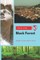 Black Forest Travel Guide
