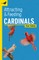 Attracting & Feeding Cardinals