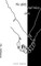The Black and White Lines I