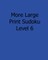 More Large Print Sudoku Level 6