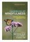 Handbook of Mindfulness