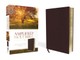 Amplified Bible-Am