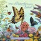 A Butterfly Goes to School