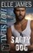 Hot Seal, Salty Dog