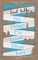 Ten Things I've Learnt About Love
