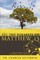 All the Parables of Matthew Thirteen
