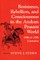 Resistance, Rebellion Andean World