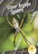 Silver Argiope Spiders
