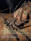 Breeding the World's Largest Living Arachnid