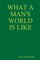 What a Man's World Is Like