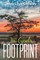 In God's Footprint
