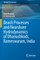 Beach Processes and Nearshore Hydrodynamics of Dhanushkodi, Rameswaram, India